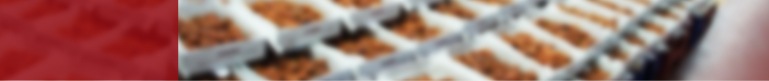 ̹